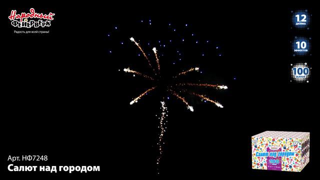 НФ7248_2023 смотреть онлайн