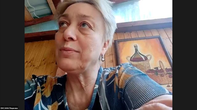 Степанова Светлана (Шелота). Акселератор "Путь ремесленника" в Вологодской области (08.08.2022) смотреть онлайн
