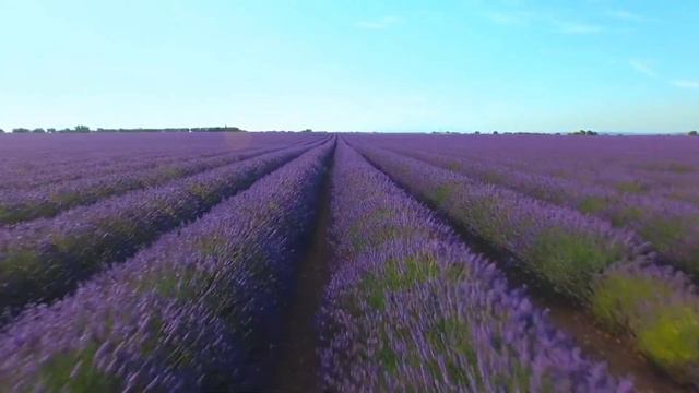 Поила и кормила их, неблагодарных, старалась столько лет и спасибо не сказали.