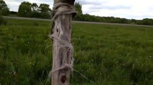 Электро пастух, электро изгородь для К. Р. С. Установка.