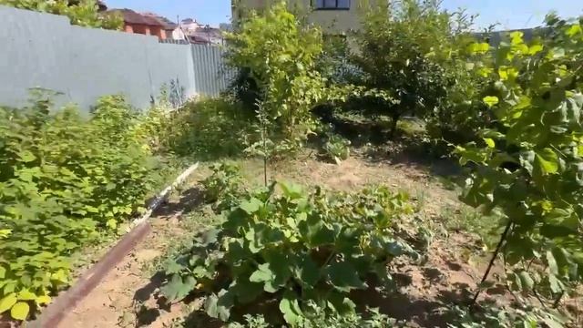 Дом на Черном море,15 минут от центра Анапы, газ, центр.вода ☎️8(918)3807169, Анастасия