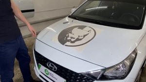 Монтаж наклейки на капот (питбуль, орел, лев и другие)