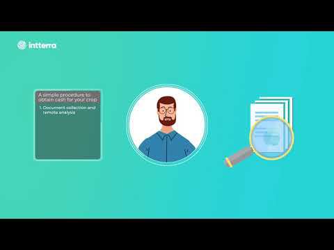 IntTerra.eng смотреть онлайн