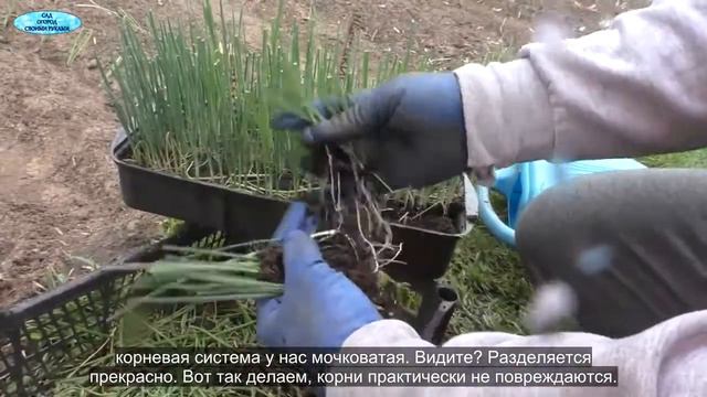 Пример работы для канала "Сад огород своими руками" смотреть онлайн