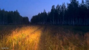 Охота на сибирскую косулю. Манок Buttolo от фирмы Hubertus