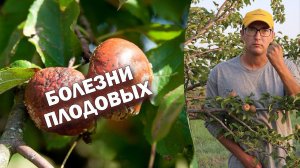 Болезни плодовых #советысадоводам #болезниплодовых
