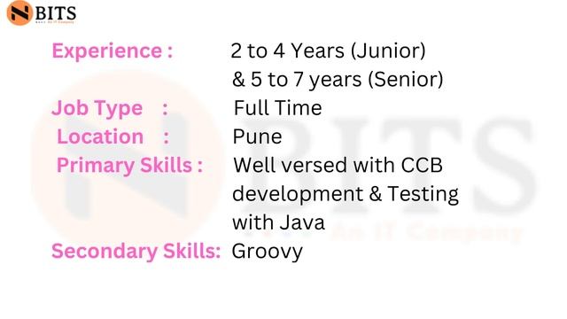 Nbits Hiring-Oracle utilities -CCB Developer #hiring #workfromhomejobs #itjobs смотреть онлайн