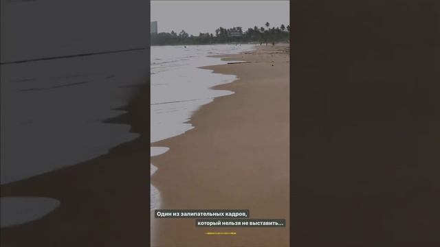 Максим Тарапата: первый репортаж с отдыха в Шри-Ланке. Мопед бомбезный ) смотреть онлайн