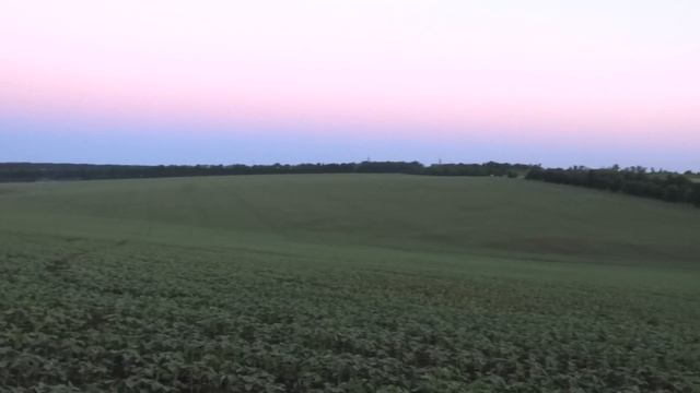Поле за окружной Харькова - почти заставка Виндовс 29 мая 2018 смотреть онлайн