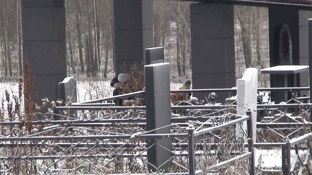 Близ Реткино 19 ноября 2023 смотреть онлайн