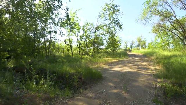 Подлещик, толстолобик или как я день рожденья отмечал. смотреть онлайн