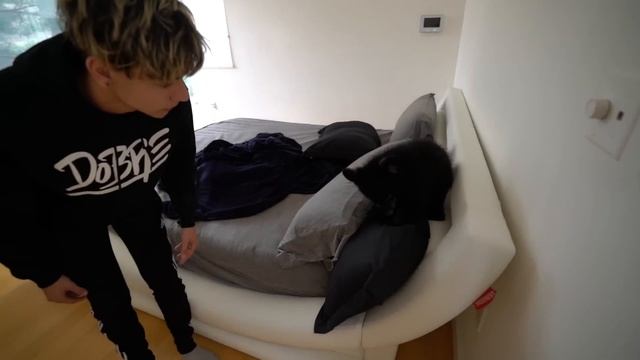 WE RESCUED LOST BABY BEARS! смотреть онлайн