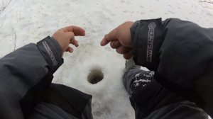 Окунь на червя, зимой.