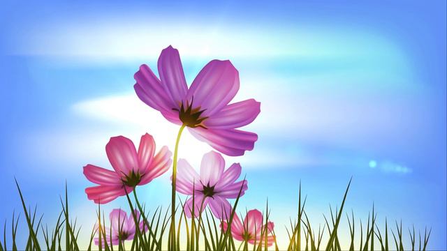 Background Pink flowers against the sky / Рожеві квіти на фоні неба / Розовые цветы на фоне неба смотреть онлайн