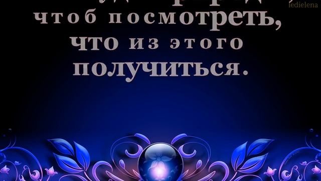 Дачная история! смотреть онлайн