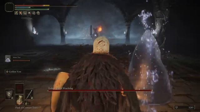 Elden Ring blood Build: Episode 3, upgrading my mimic to try and defeat Godfrey, the 1st Lord & смотреть онлайн