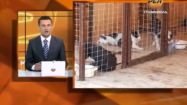 ПРИЮТ ДЛЯ ЖИВОТНЫХ смотреть онлайн