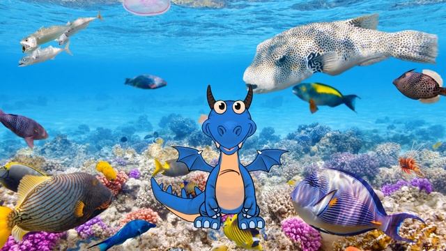 0+ Кораллы растение или животное? смотреть онлайн