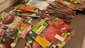 Что буду сеять? Как сделать правильный выбор? Семена для посадки