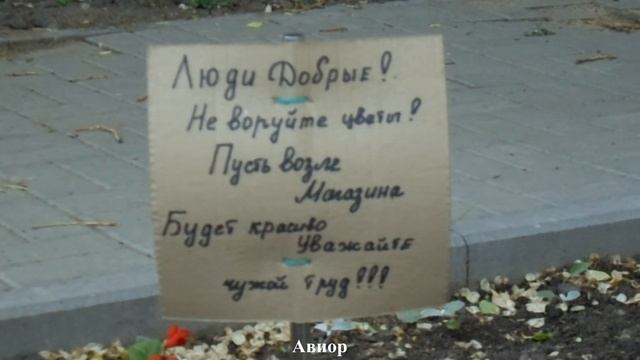 ? ВОРОНЕЖ. ПРОГУЛКА ПО УЛИЦЕ МОИСЕЕВА смотреть онлайн