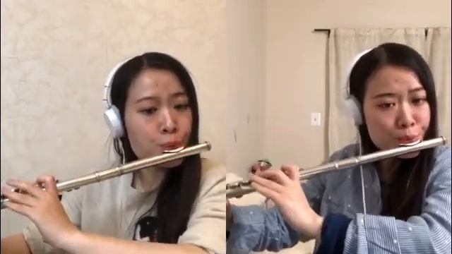 [Two Flutes] Theme from "My Neighbor Totoro" Joe Hisaishi (久石让 龙猫主题曲 双长笛 附谱) смотреть онлайн