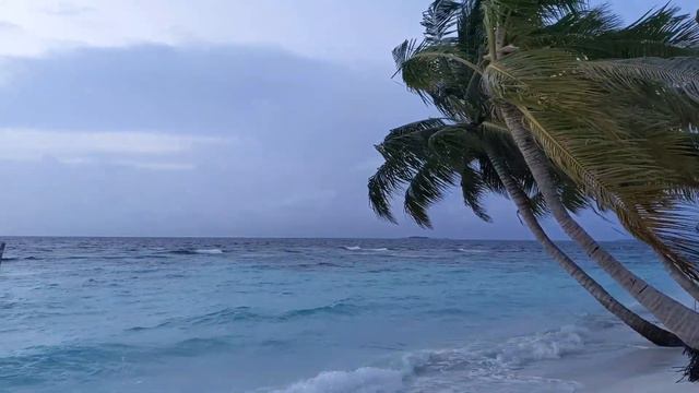 Bandos Maldives - Ep:3 | Guided Tour | Pristine Nature | White Sand Beaches | (English Subtitles) смотреть онлайн