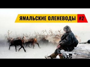 ЯМАЛЬСКИЕ ОЛЕНЕВОДЫ – ЖИЗНЬ В ЧУМЕ ЗИМОЙ. НЕНЦЫ И СЕВЕРНЫЕ ОЛЕНИ В ТУНДРЕ. ЯМАЛ #2