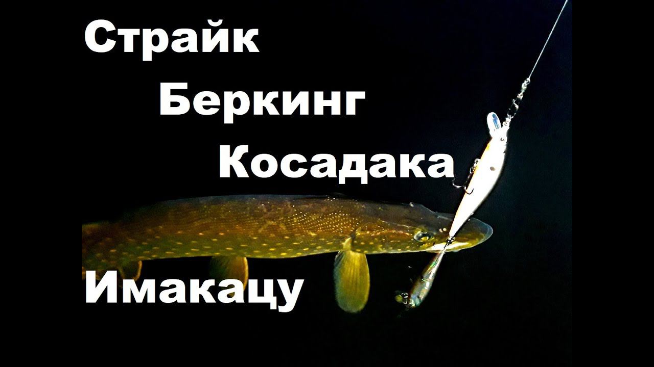 Копии и оригиналы Воблеры на судака и щуку Страйк, Беркинг, Имакацу, Косадака смотреть онлайн