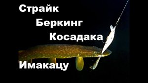 Копии и оригиналы  Воблеры на судака и щуку  Страйк, Беркинг, Имакацу, Косадака