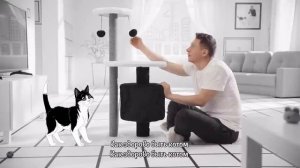 10 ЧАСОВ - Здорово быть котом!