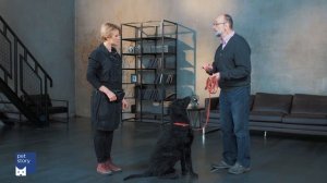 Как научить собаку команде "Ко мне"?