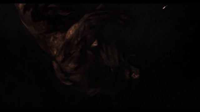 Resident Evil Outbreak File #2 - Zombie Lion Boss Fight (4K 60FPS) смотреть онлайн