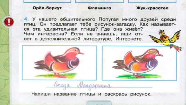 Окружающий мир. Рабочая тетрадь 3 класс 1 часть. ГДЗ стр. 62 №4 смотреть онлайн