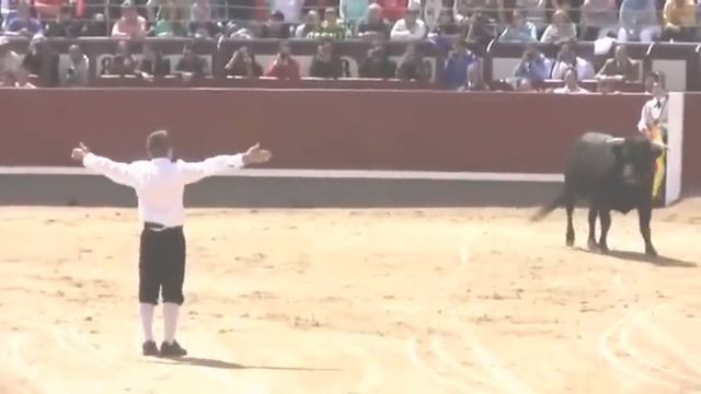 Родео, страшно захватывающий вид спорта. смотреть онлайн