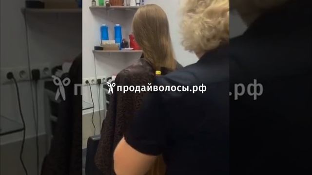 Хотите продать волосы? Продайте их нам! | Продайволосы.рф смотреть онлайн