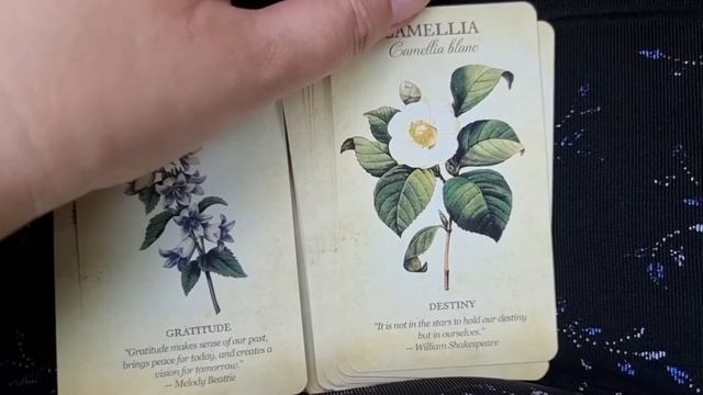 Знакомство с колодой-оракулом "Botanical Inspirations" - тайный язык цветов. смотреть онлайн