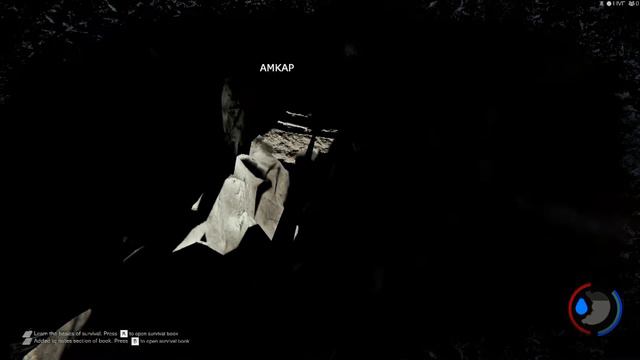 The Forest Исследовали одну из пещер #2 смотреть онлайн