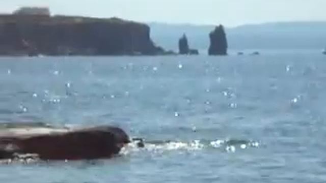 le colonne di carloforte смотреть онлайн