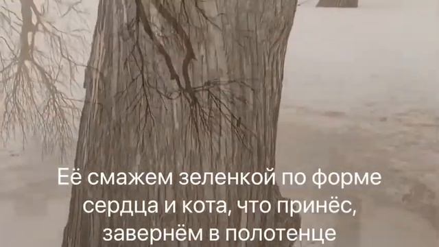 "Снова утро и птицы и листьев шёпот". Валентина Прем-Вóланс смотреть онлайн