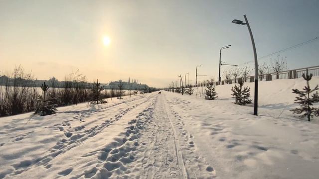 Собака бегает по акватории! смотреть онлайн