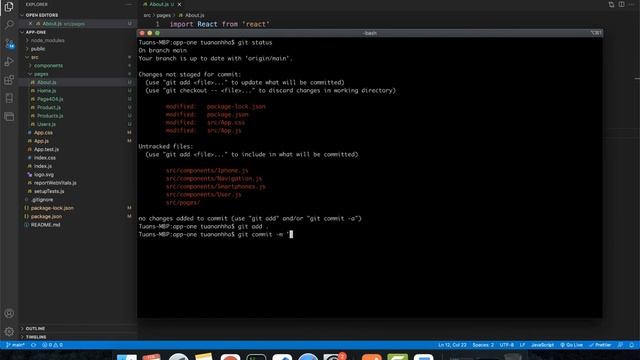 Triển khai React App lên Netlify смотреть онлайн