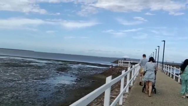 pandanus beach brisbane#australia beach🏖 смотреть онлайн