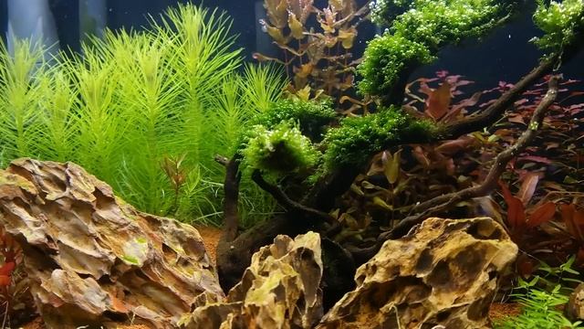 NX300 Test Video - ADA 60P смотреть онлайн