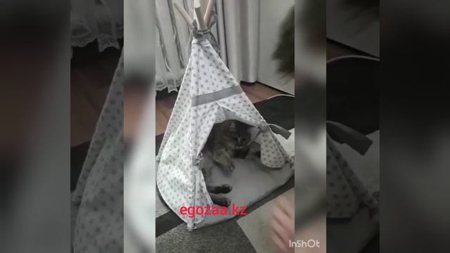 Вигвам для кошек и собак смотреть онлайн