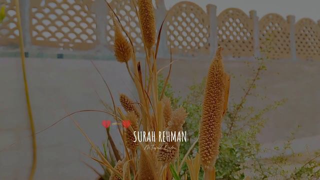 Surah Rahman Tilawat e Quran e Pak 🌹🕋🌹 Beautiful Nature смотреть онлайн