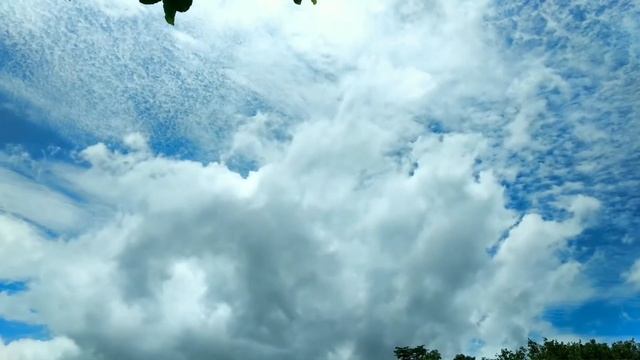 Музыка для успокоения души и тела. смотреть онлайн