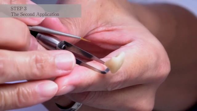 Yamakin Zirconia Crown Staining Technique