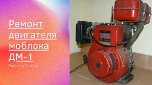 Ремонт двигателя ДМ от мотоблока  1 часть Разборка