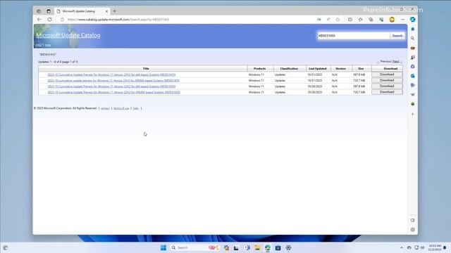 Windows 11 23H2: EASY manual install (2 methods) смотреть онлайн