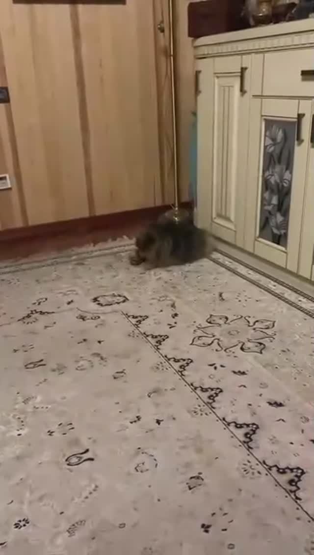 ПУСЯНСКОЕ УТРО… ВЕДЬМИНА ИЗБА ▶️ ИНГА ХОСРОЕВА. смотреть онлайн